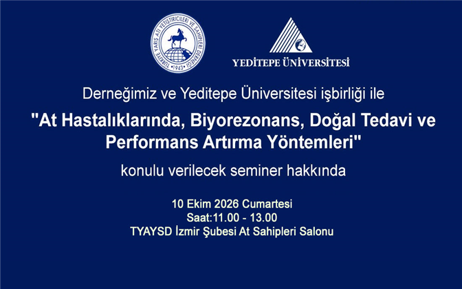 tyaysd