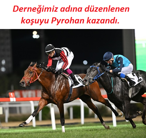 tyaysd